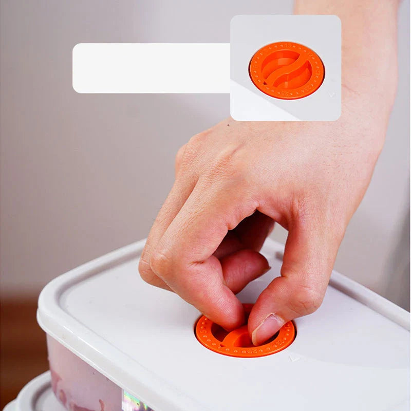 Bento Lunchbox with Compartments