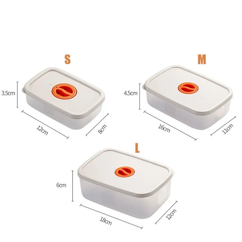 Bento Lunchbox with Compartments