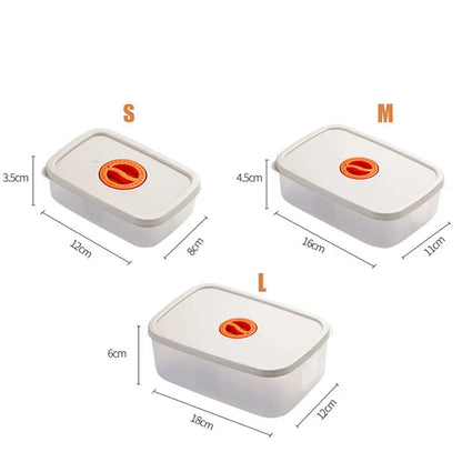 Bento Lunchbox with Compartments