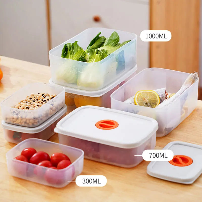 Bento Lunchbox with Compartments