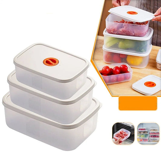Bento Lunchbox with Compartments