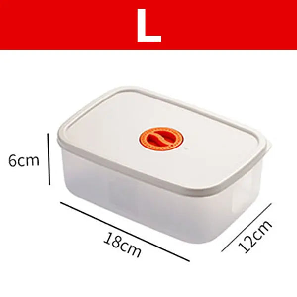 Bento Lunchbox with Compartments